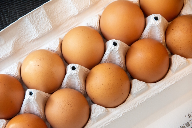 卵のサイズによる栄養素の違い